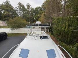 1994 Luhrs Tournament 250 Open fishing machine rea, $ 32,800